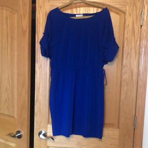 Calvin Klein Blue Dress